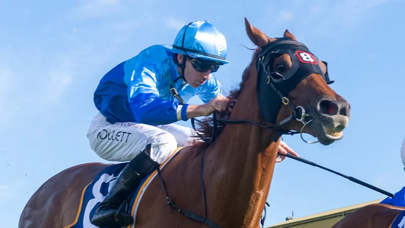 Race-by-race tips and previews for Rosehill on Saturday